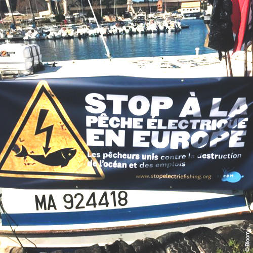 Biocoop s’associe à Bloom dans son combat contre la pêche électrique ! Biocoop s’associe à Bloom dans son combat contre la pêche électrique !