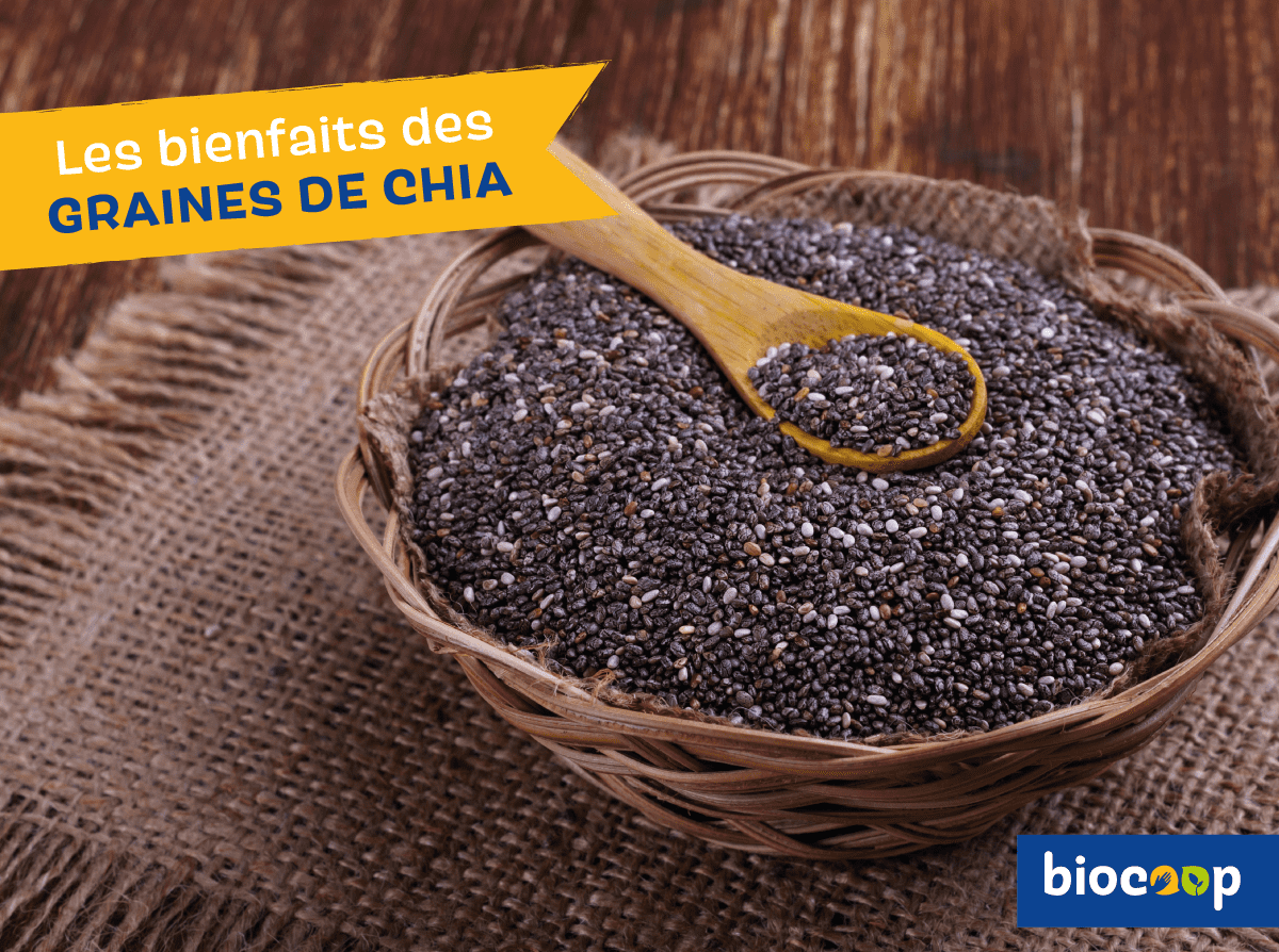 Les bienfaits des graines de Chia